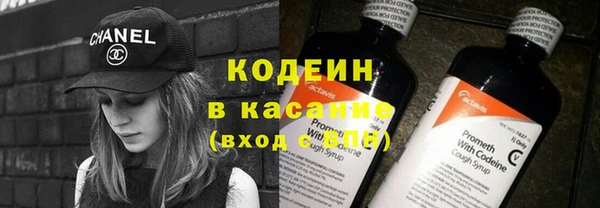 PSILOCYBIN Каменка