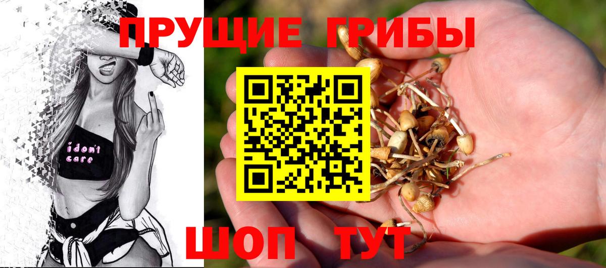 Ревда  Галлюциногенные грибы Magic Shrooms  Псилоцибиновые грибы Cubensis  Вход с VPN 